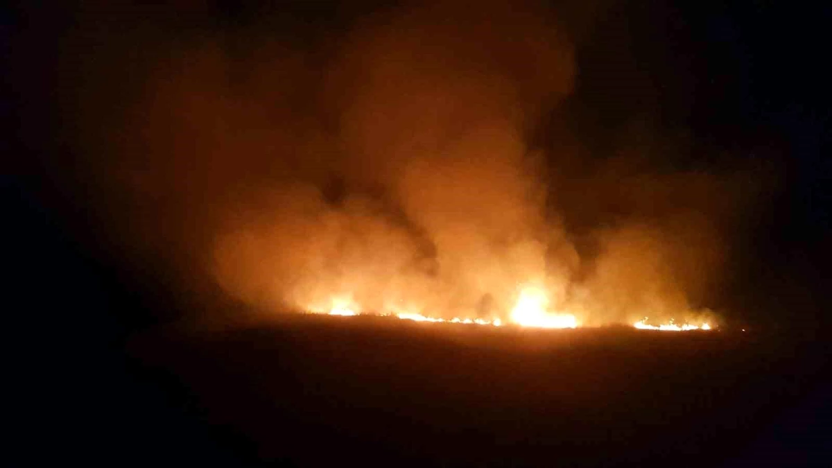 Çorum’un Alaca ilçesinde son 2 ayda 400 anız yangını söndürüldü