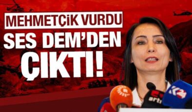 Mehmetçik vurdukça onların sesi yükseldi… DEM Parti: Operasyonları durdurun!